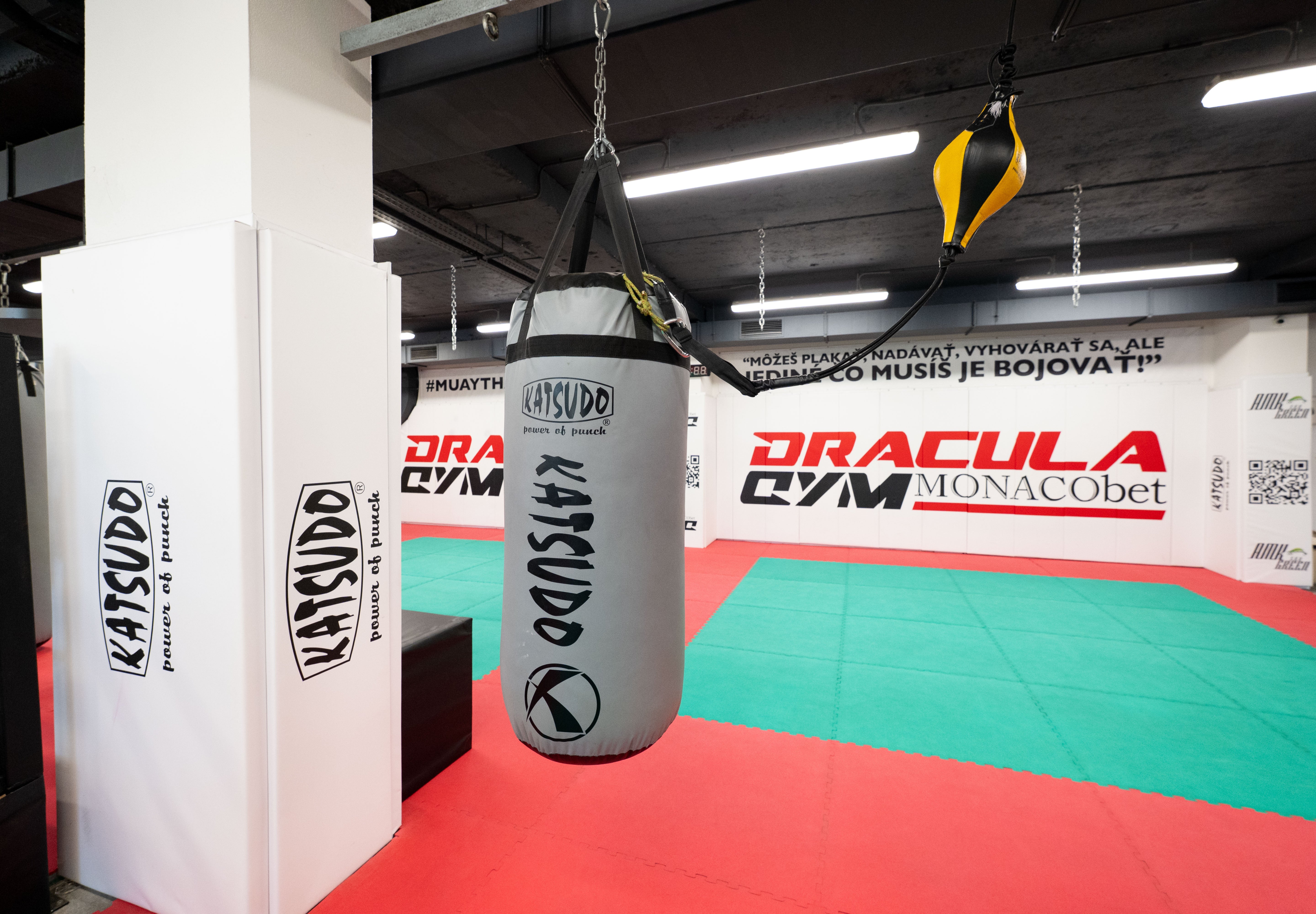 Katsudo Big Boy Pro Boxing saco de boxeo, gris