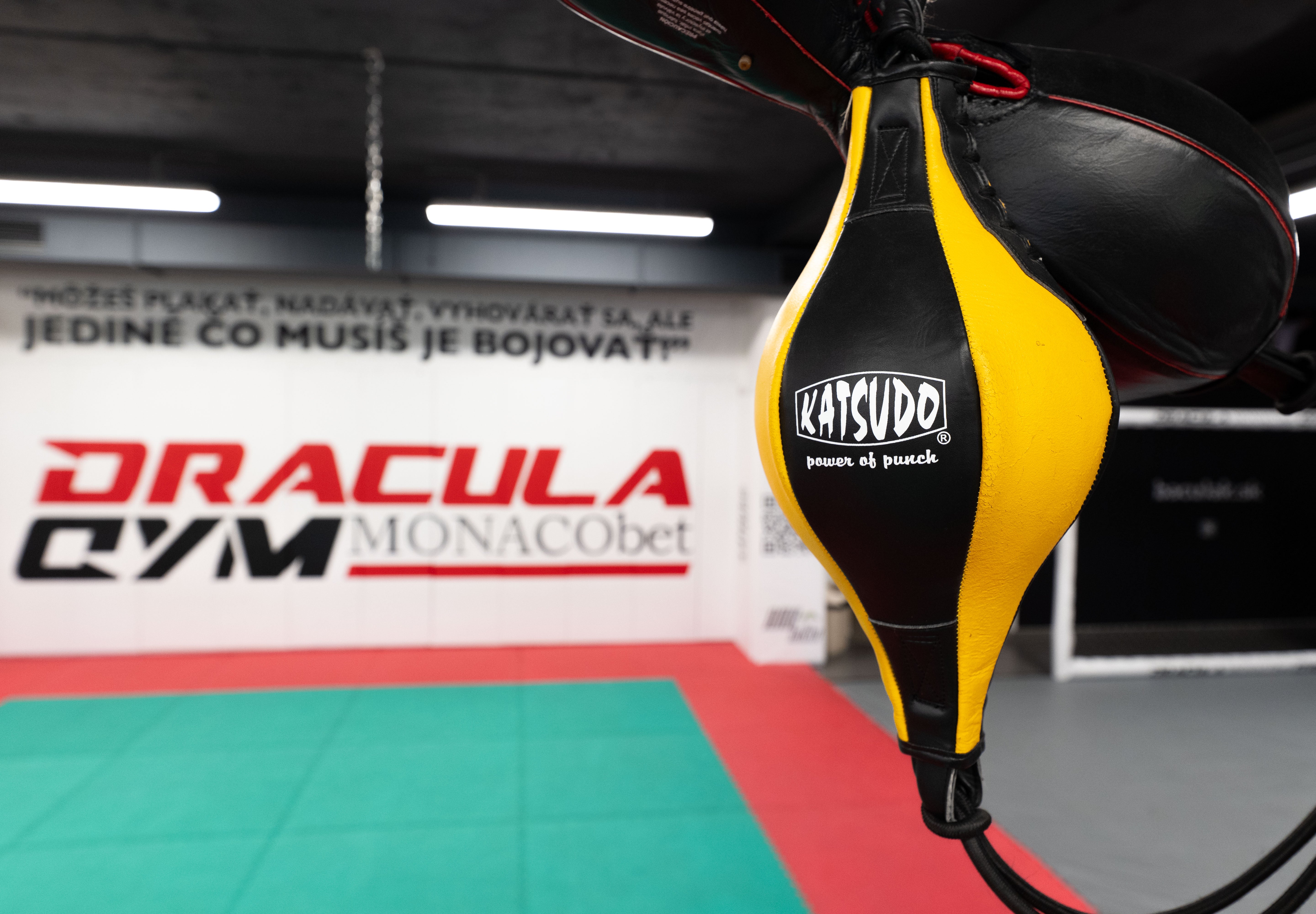 Katsudo Thai pelota de golpeo