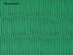 BSW tatami de judo, verde hierba