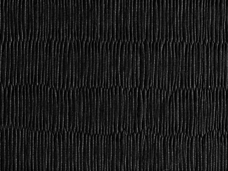 BSW tatami de judo, negro