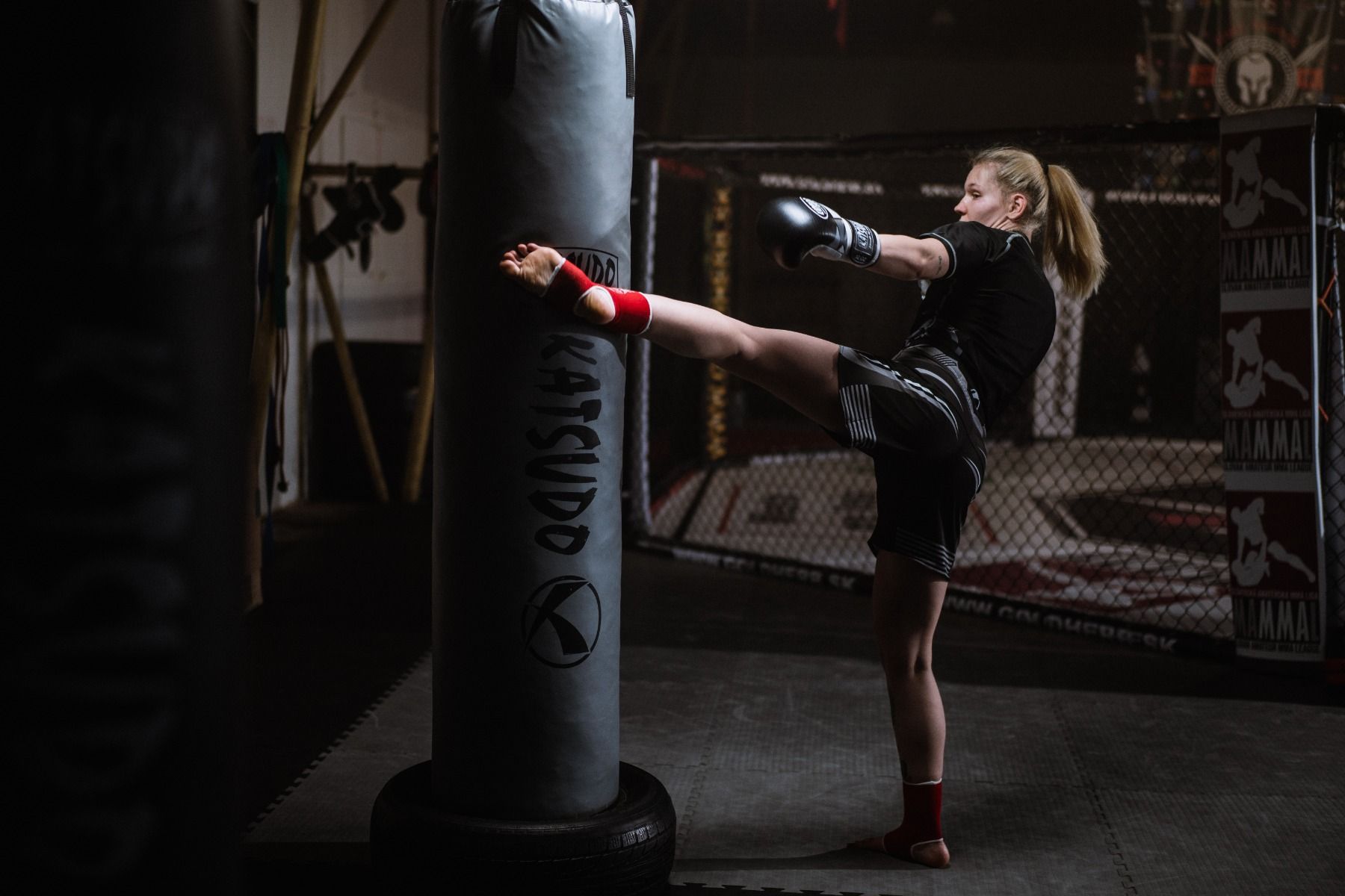 Katsudo Plaston saco de boxeo de vinilo 180x28, gris